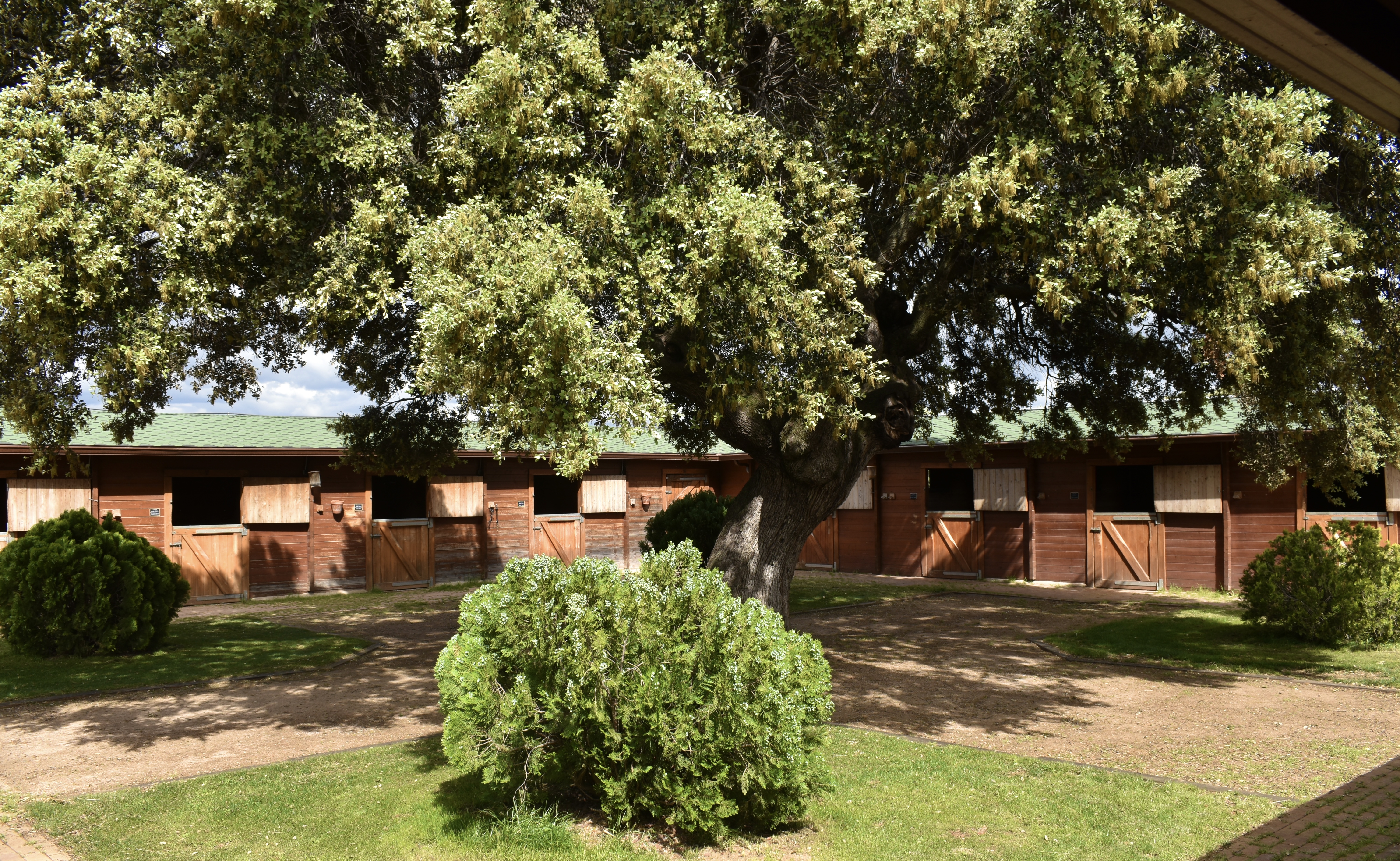 Patio Principal
