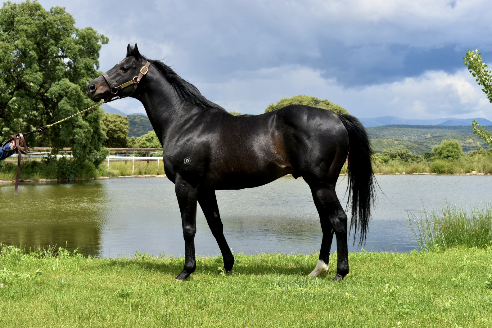 Imagen de BOW CREEK 1
