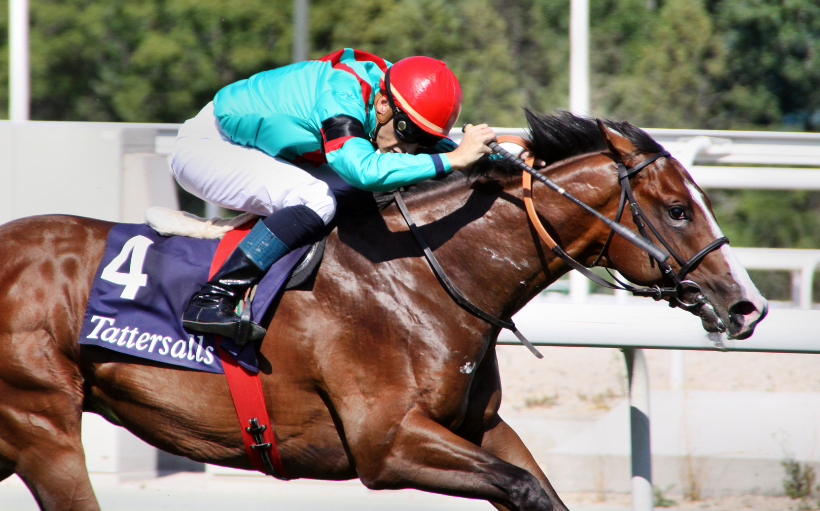 Imagen de NOOZHOH CANARIAS 11
