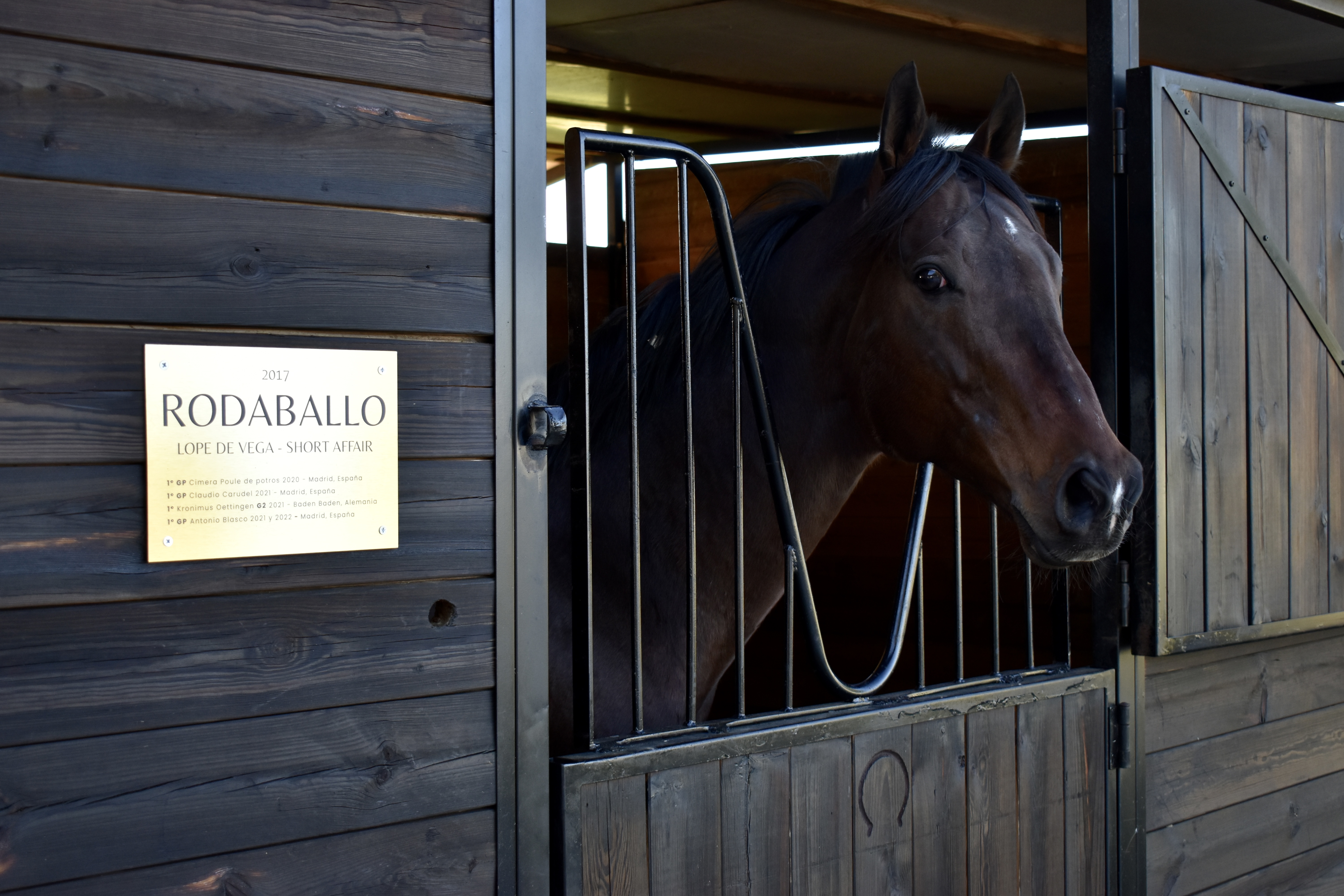 Imagen de RODABALLO 5
