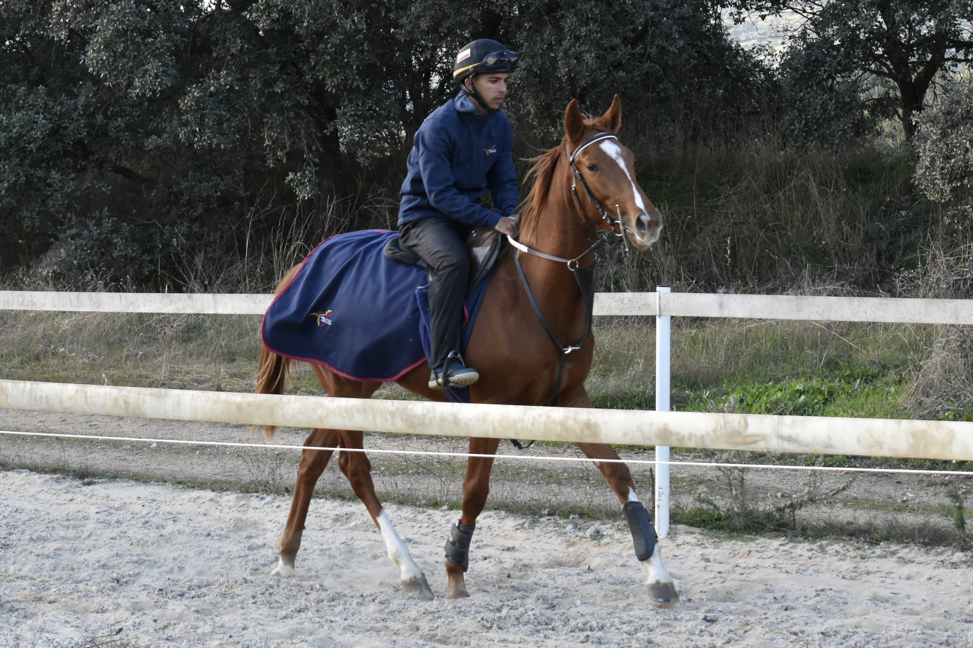 Pretraining 2