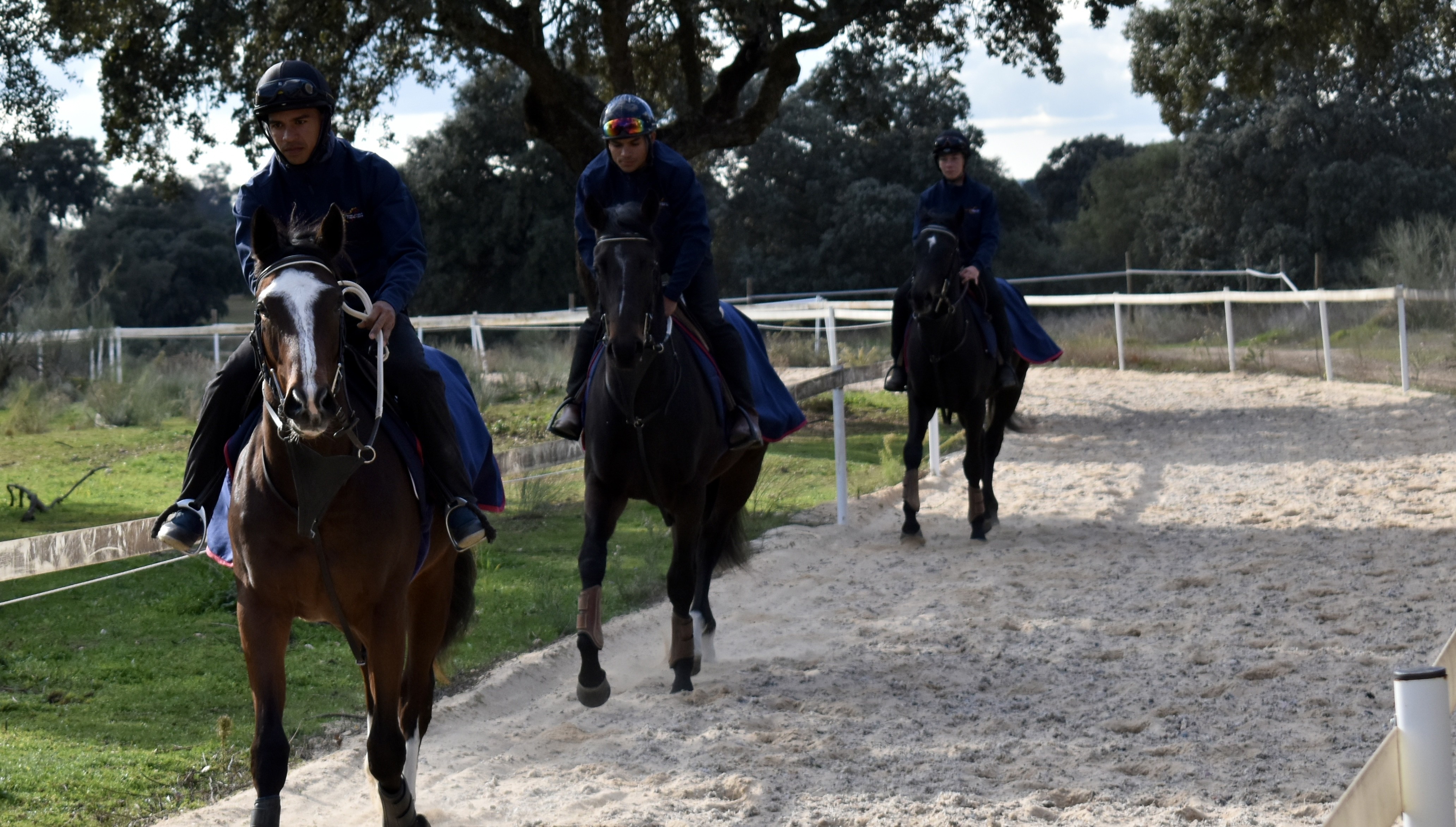 Pretraining