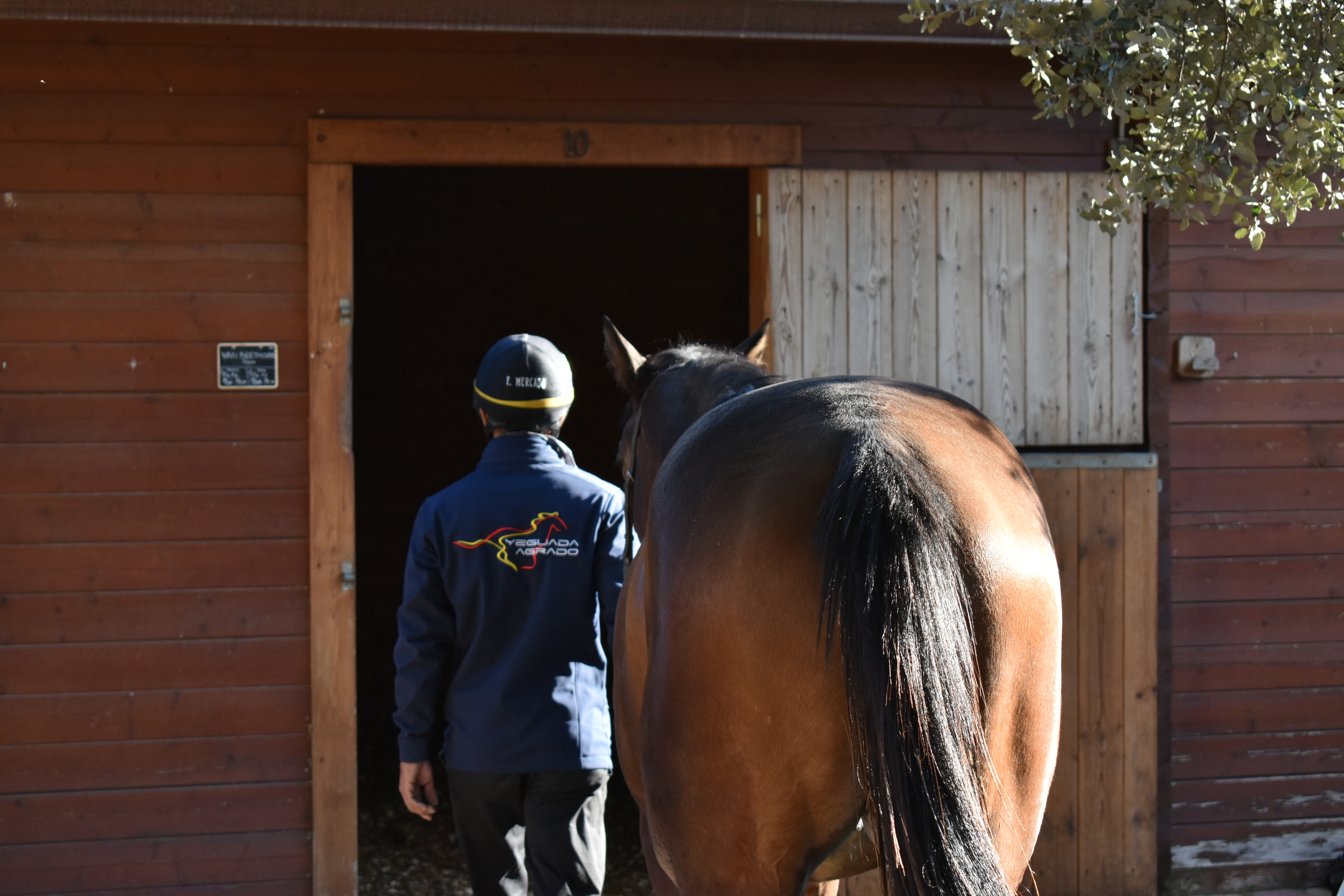 Pretraining 3